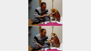 음주 말리는 개, “시어머니가 따로 없네”