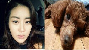 강소라, 애완견과 함께 2014 새해인사…"해피 뉴 이어"