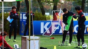 [월드컵 16강 제언] 코칭스태프+전문가 실무팀 파견…핌 베어백 등 홍감독 인맥 풀가동