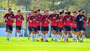 3월 유럽 A매치 때 최종 엔트리 윤곽…홍명보호 8강 오르면 상금만 149억원