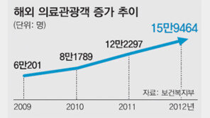 의료한류 입소문… “성형외과, 최고의 접대장소” 농담도