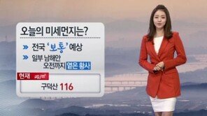 미세먼지 주의, 새해 첫 출근 불청객… “새해부터 진짜”