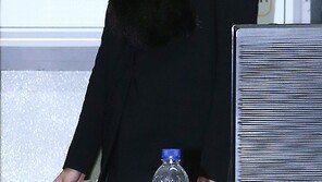 ‘프로포폴’ 장미인애, 항소 취하… 징역 8월·집행유예 2년 확정