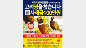 [휴지통]애완꿩에 현상금 100만원?