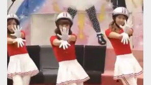 ‘크레용팝’ 이어 ‘가물치’ ‘풍뎅이’…이색 아이돌 성공할까