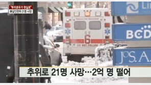 북미 살인 한파, 21명 사망-50억 달러 이상 손실…뉴욕, 역대 최저기온