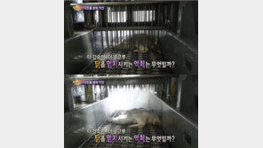 불만제로 치킨, “이렇게 따지면 먹을 게 하나도 없지”