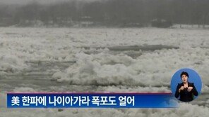 나이아가라 폭포 결빙, 강추위에도 관광객 몰려… “지금 셔터가 눌러지니?”
