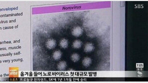 노로바이러스 주의보, 해외 관광객 300명 한국 식당서 집단 감염