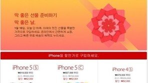 애플스토어, 매장말고 온라인… “아쉽다면 낮은 할인율?”