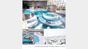 새해에는 ‘名品 스파 리조트’ 파라다이스 스파 도고와 함께 더 건강하고 행복해지세요!