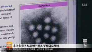 노로바이러스 주의보, “음식 위생 관리는 제발 철저히”