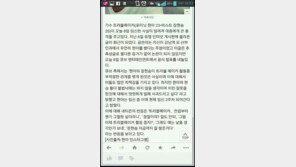 현아 장현승 악성루머, 실제화면 보니…현아 임신2주차 기사조작 ‘감쪽같네’
