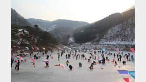 [신나는 공부]자녀와 떠나는 겨울여행… 빙어낚시하고 논두렁 스케이트타고