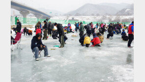 손맛을 제대로 즐긴다! <영월 동강 겨울축제> 루어낚시!