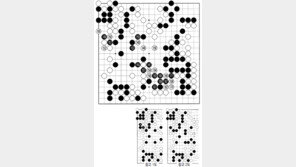 [바둑]제57기 국수전… 패착 156