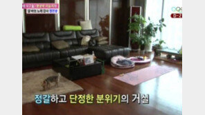 이윤지 집 공개, 트로피가 한켠을 가득...부모님의 마음