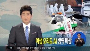 야생오리 AI 확산 가능성에… 정부 방역 강화 나선다