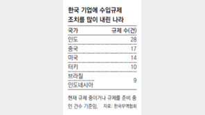 ‘수입규제 공화국’ 인도, 朴대통령 방문 효과 있을까