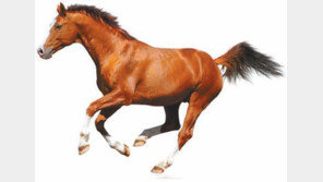 [DBR 칼럼]창의적 인재 키우려면… 男에겐 감수성을 女에겐 독립심을 북돋워라