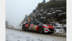 ‘WRC 2014’서 한국타이어 쓴다 