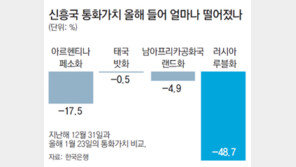 아르헨貨 11% 폭락… 신흥국 위기 또 덮치나