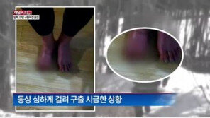 [단독]北 철통감시 속 20여 명 탈북 확인…탈북자 구출작전 돌입