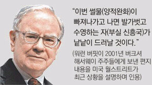 美출구전략 탓하던 신흥국들, 잘못된 경제정책 민낯 드러나