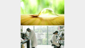 [Beauty]겨울철 피부미인의 비밀은 ‘콜로이드 오트밀’