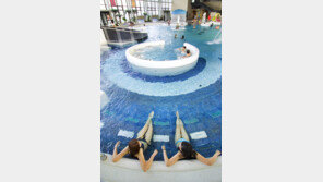 새로운 시작! 졸업과 입학 시즌, 대박 이벤트 마련, 파라다이스 스파 도고와 함께!