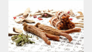 [헬스&뷰티]홍삼, 신종플루·조류인플루엔자에 강하다