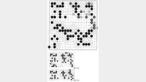 [바둑]제57기 국수전… 패착 155