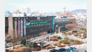 [막오른 지방선거]지방업무 비율 고작 20%… 공무원 1명도 맘대로 못늘려