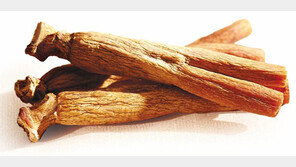 [헬스&뷰티]홍삼 먹으면 열오른다? 근거없는 속설입니다!