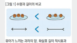 비교놀이는 유아수학의 출발점