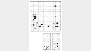 [바둑]제57기 국수전… 최신 정석