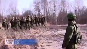 러 상원, 푸틴 군사력 사용 요청 승인…우크라이나 일촉즉발