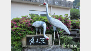 [Outdoor]일본 규슈 ‘니시테쓰’와 함께하는 퀴즈이벤트 <제9회>