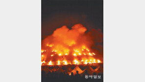 [제주]오름 통째 태우는 들불축제… 애월읍서 7일부터 사흘간