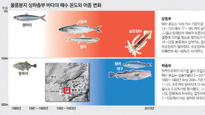 울릉분지 100m이하 해수온도 3∼4도 떨어졌다