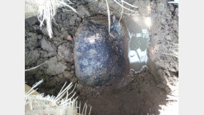 수십억짜리 로또 운석?