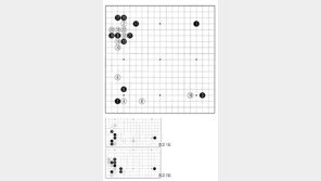 [바둑]제57기 국수전… 한칸 낮은 협공의 변화