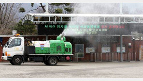 개에서 AI 항체 발견, 조류→포유류 감염 첫 사례