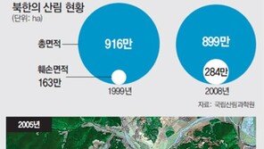 식량난 北 마구잡이 개간… 매년 평양 크기 산림 사라져