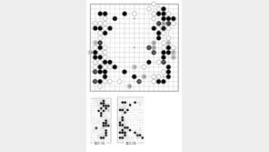 [바둑]제57기 국수전… 프로의 행마 106