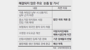 ‘떡 인터넷 판매금지’ 등 안뽑힌 가시 92개