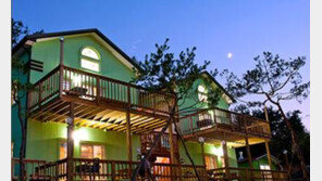 바다를 둘러싼 환상의 섬에서 즐기는 여유!