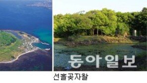 [제주]제주 세계지질공원 대표명소 3곳 추가