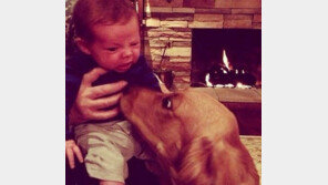 ‘누구냐, 넌?’ 개를 처음 본 아기들 ‘화들짝’