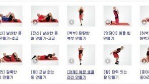 2주 다이어트 운동, ‘헬스장 가지 말고 집에서 이거 보면 대박?’